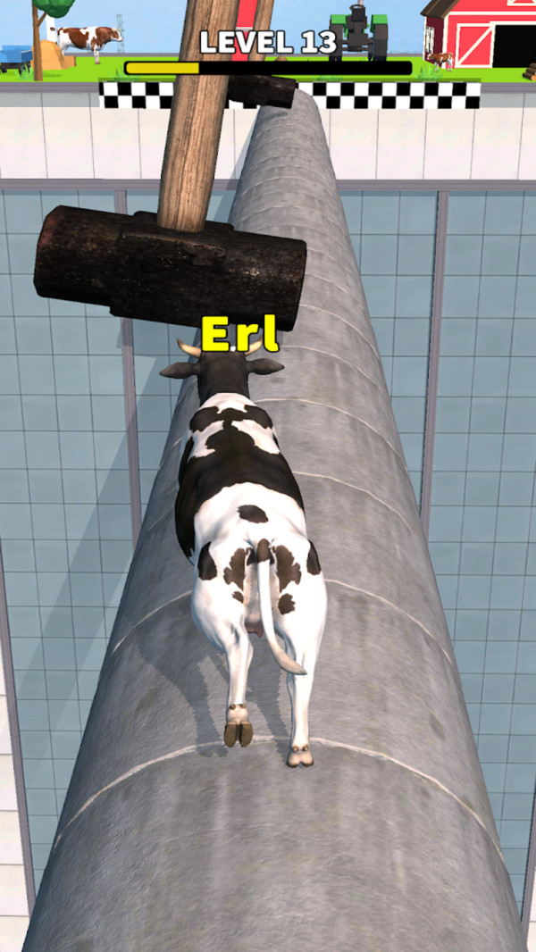 ��ţ����