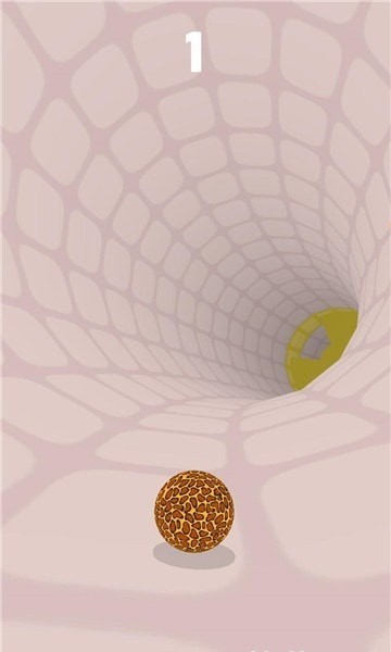 ������ת��