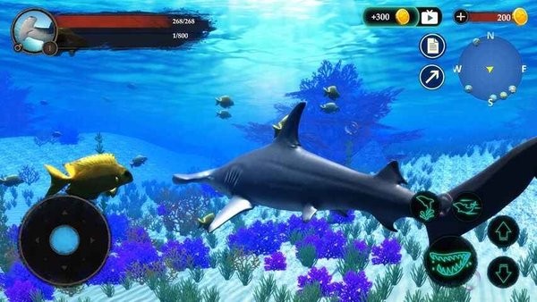 ��ͷ��ģ������Ϸ(The Hammerhead Shark)