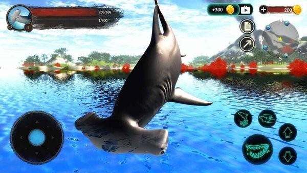 ��ͷ��ģ������Ϸ(The Hammerhead Shark)