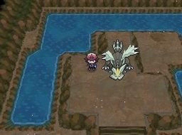 �ڴ����ֺڰ�22026��Ѱ�