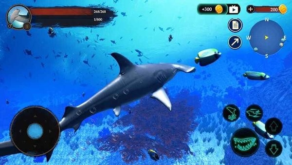 ��ͷ��ģ������Ϸ(The Hammerhead Shark)