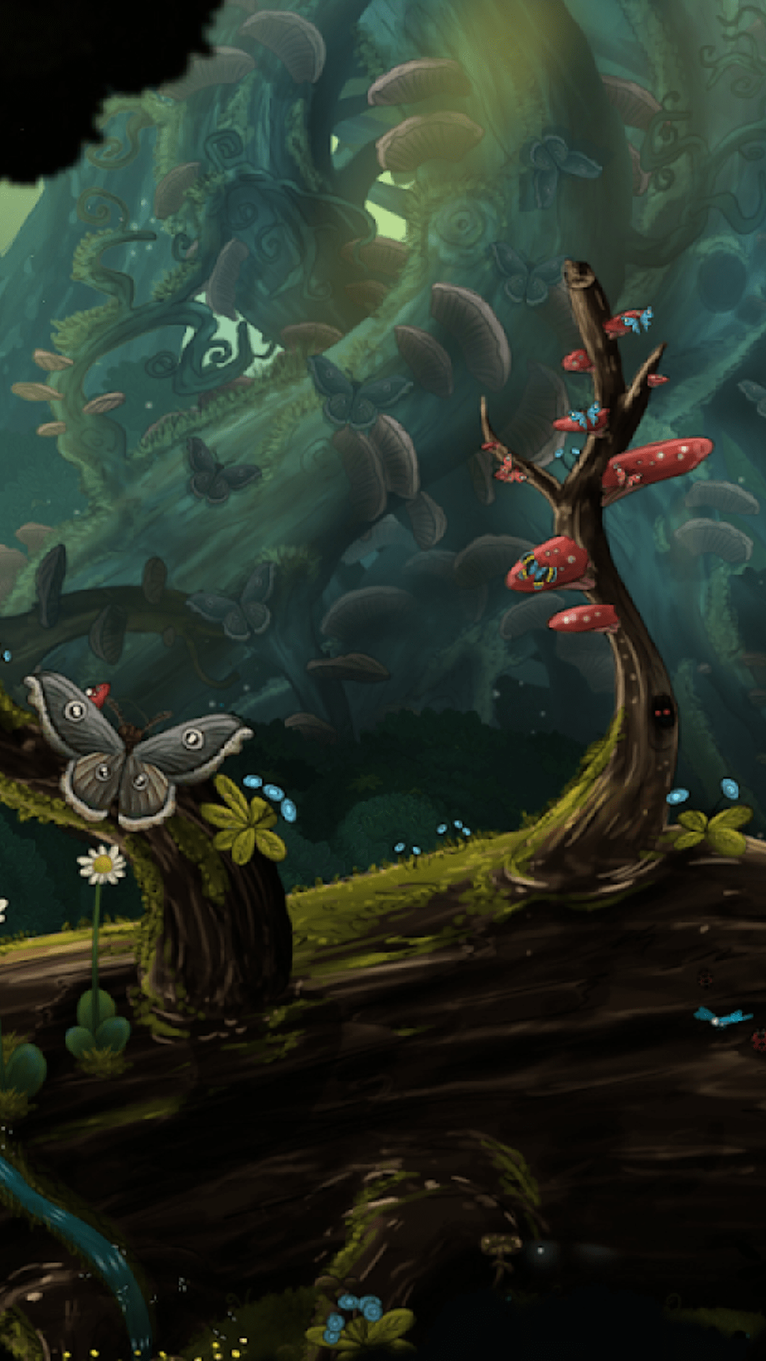 ɳƤ������̽��