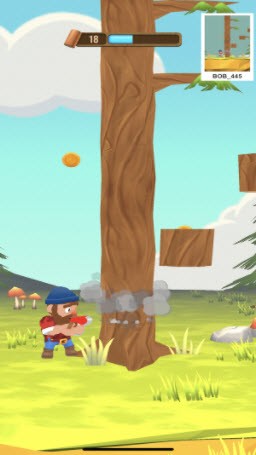 ��ľ������