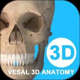 ά����3D����