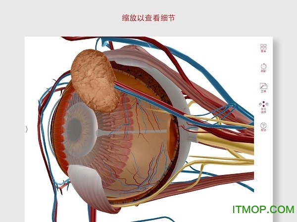 ���ʺ�����ѧ