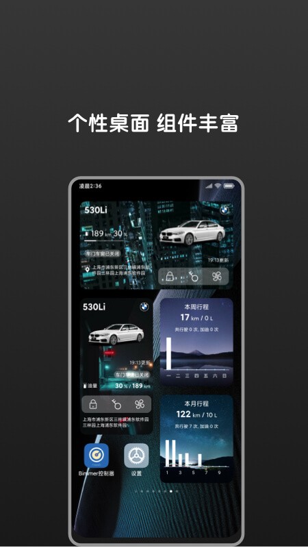 Bimmer控制器正版