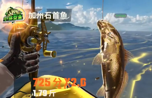 ���㾺����