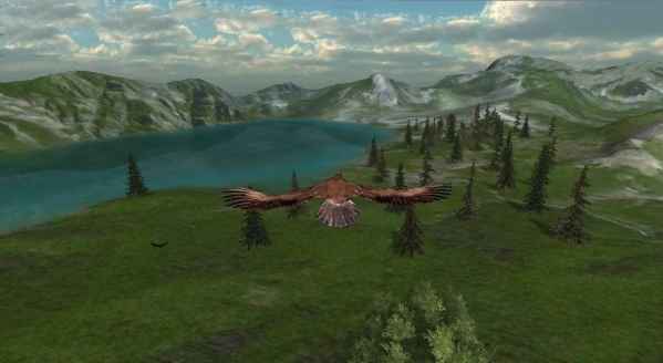 Owl Hunting Journey(èͷӥ����֮��)