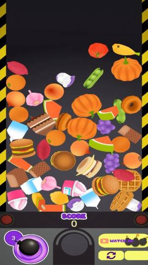 ʳ������