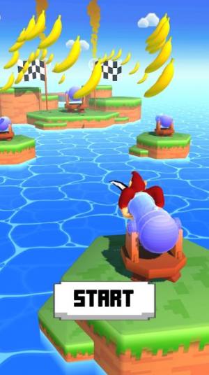 Kong Cannon(���ɴ���)