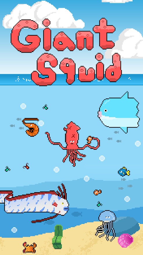 squid(������������)