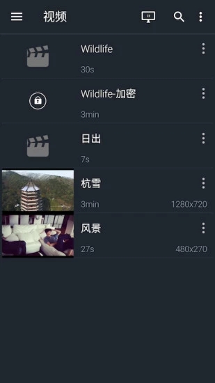 金狮播放器