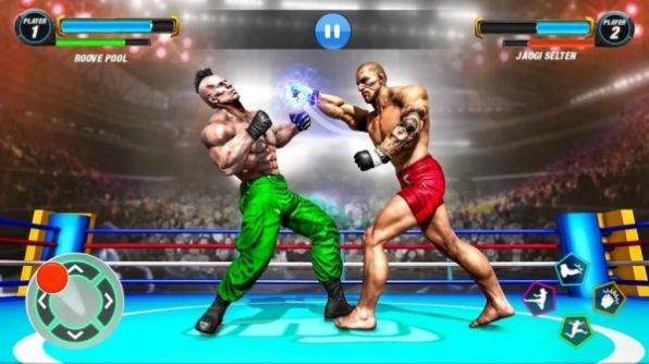 Gym Fighting(����������)
