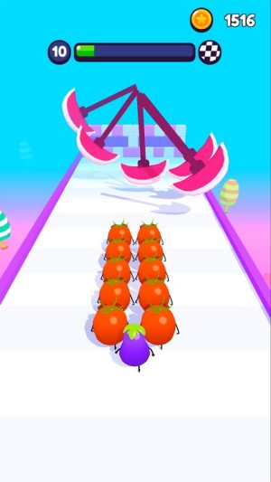 Fruit Fun Race 3D(ˮ��Ȥζ����3D)