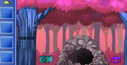 ������С��è����