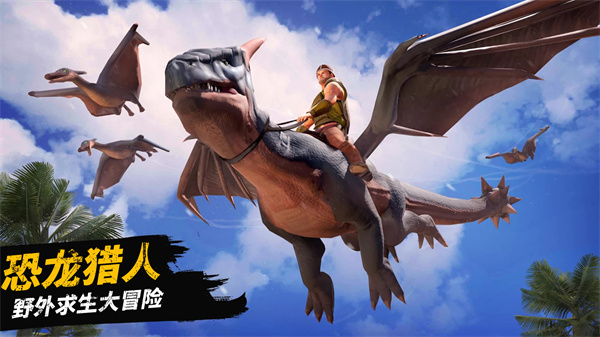 ������½�������°�