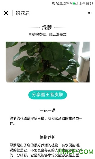 拍照识花君最新版
