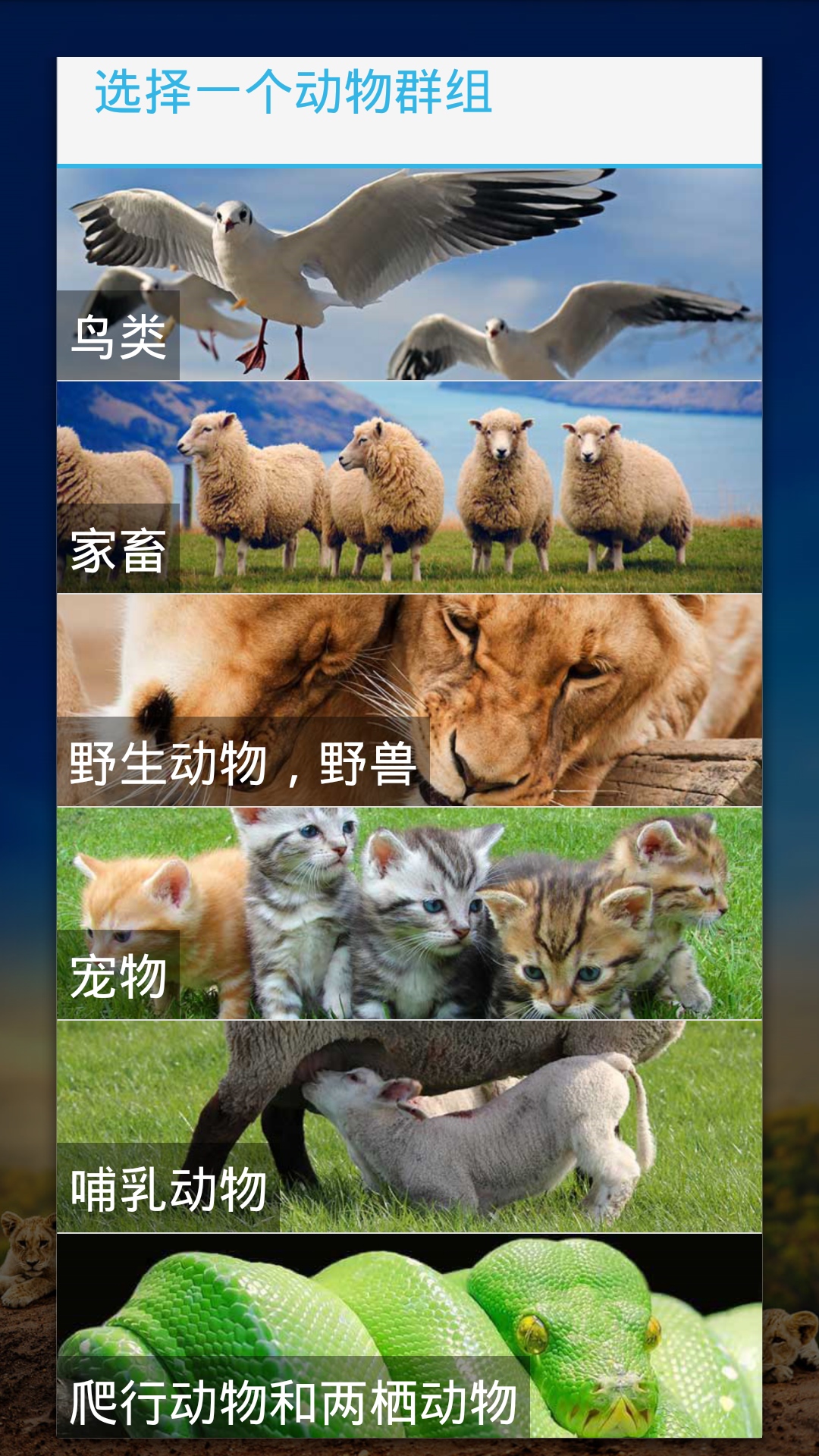 �ö�С�ɰ�app