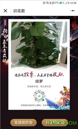拍照识花君最新版