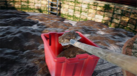 Ӿ�����ģ����Pool Cleaner 3D