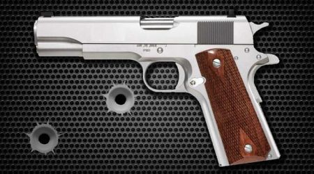 ǹ��ģ����Armory Guns