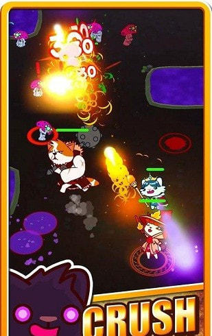 Catopia(����Ƥ���ʲ����)