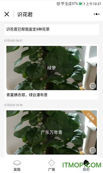 拍照识花君最新版