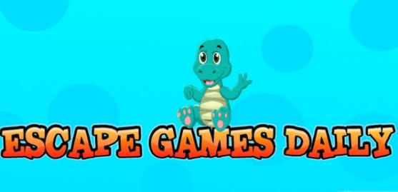 ������С��è����