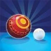 Bowls Pro(����������)���¹�����-Bowls Pro(����������)��׿���°�����