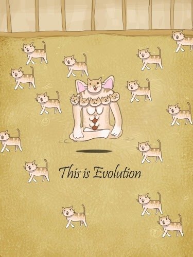 小猫进化大派对(Cat Evolution Party)