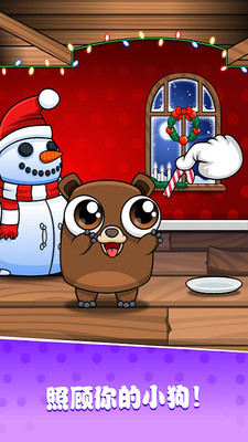 �����������ȹ�