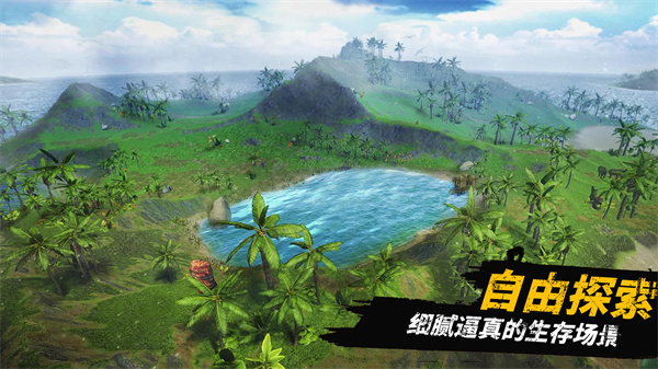 ������½�������°�