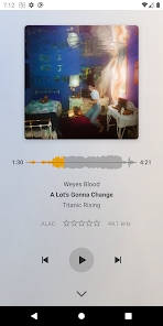 Plexamp4.9.1安卓安装包