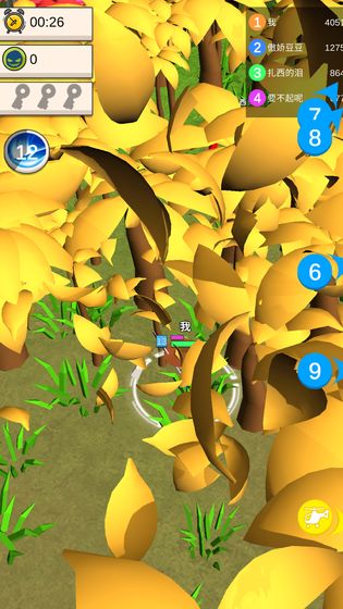 �����Ҷ�