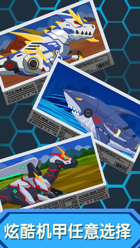 ��װ����������