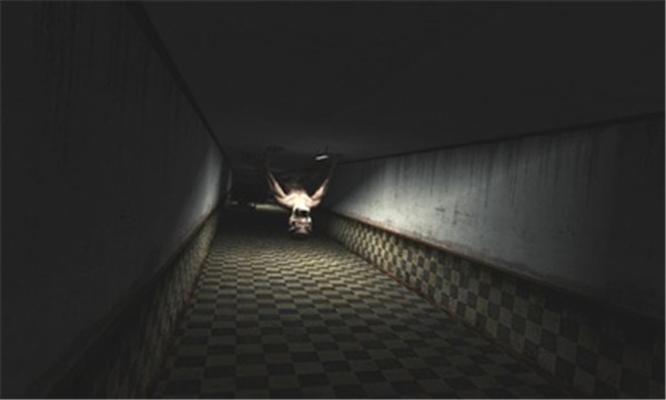 �ֲ��Թ�������Maze Of Horror
