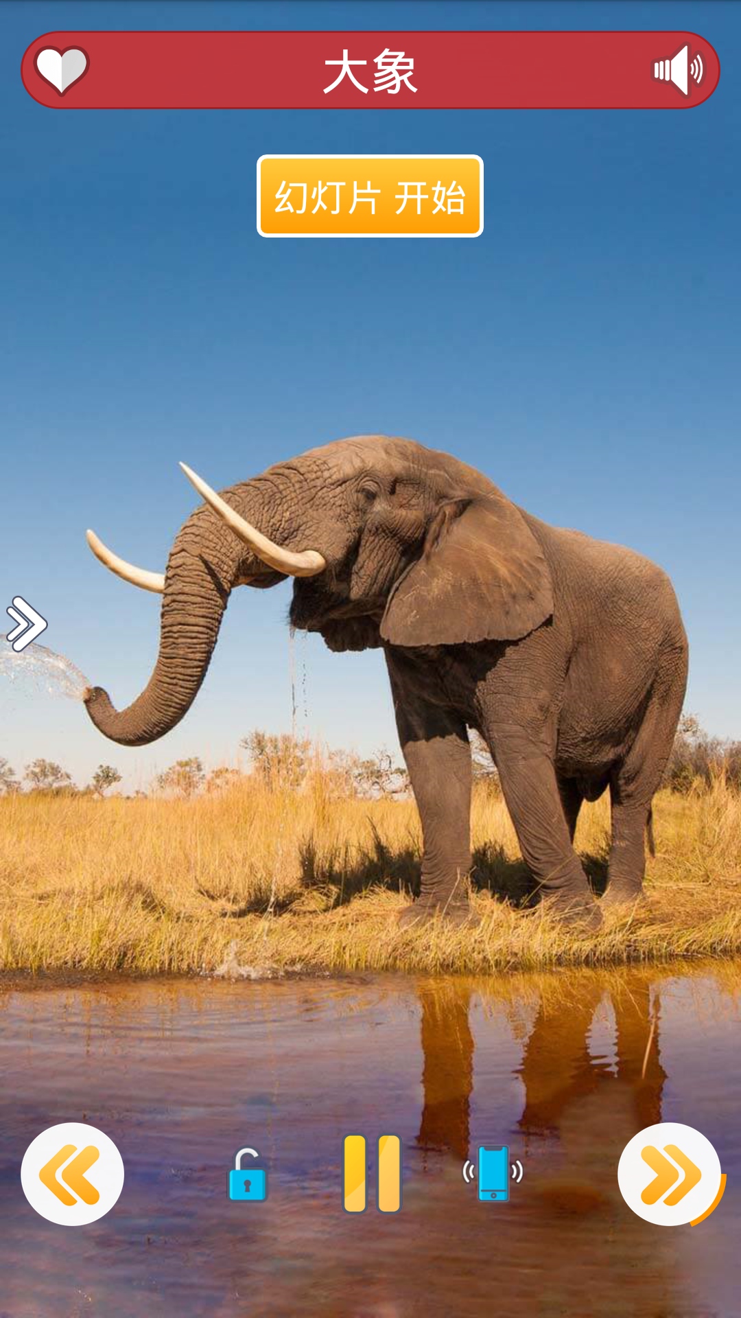 �ö�С�ɰ�app