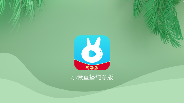 小薇直播纯净版TV版