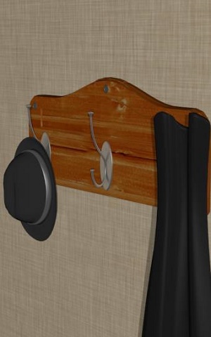 ��ɫ����