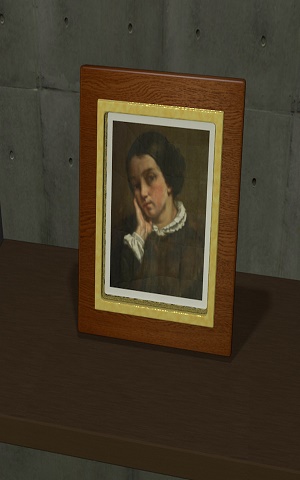 ��ɫ����