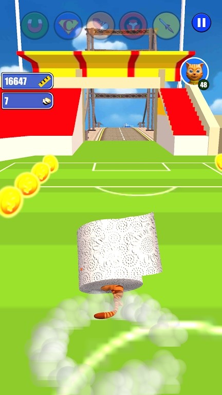 Toilet Paper Cat Run(��ֽè��)