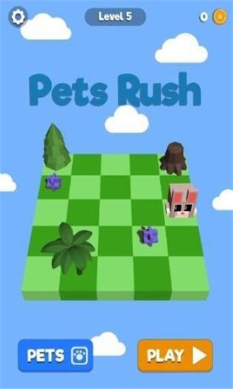 �����ƴ3DPets Rush 3D