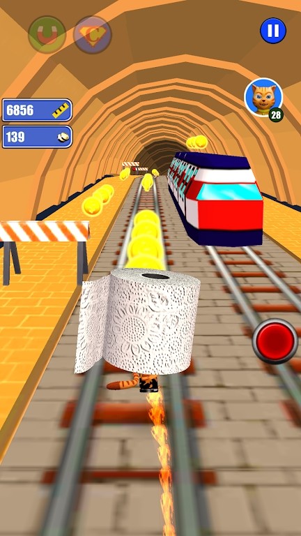 Toilet Paper Cat Run(��ֽè��)