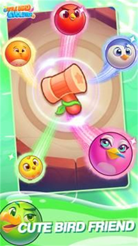 С��Ľ���Little Bird Evolution