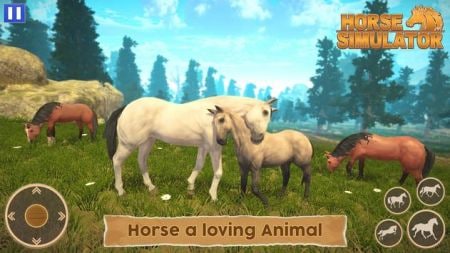 ��������ģ����Horse Simulator
