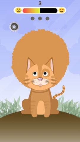 ��������ʦ