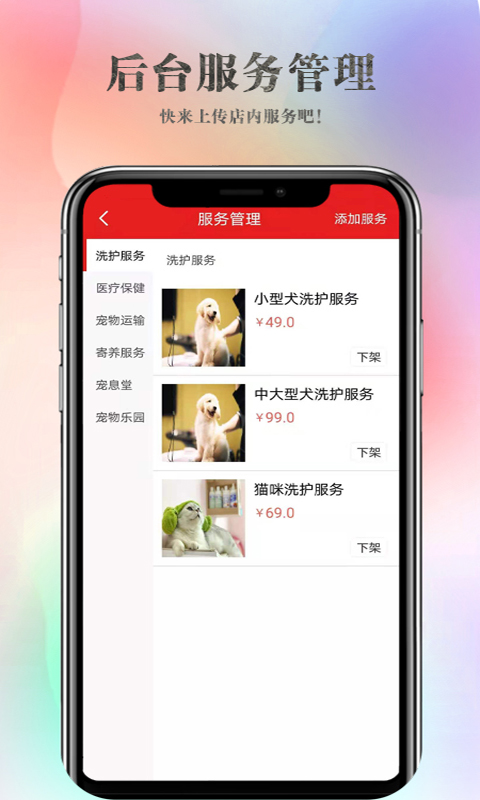 ������-�����̼�