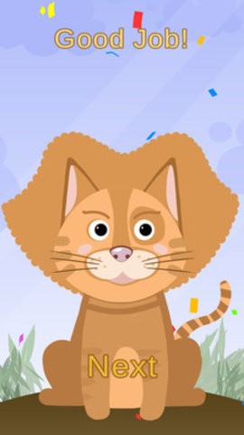 ��������ʦ