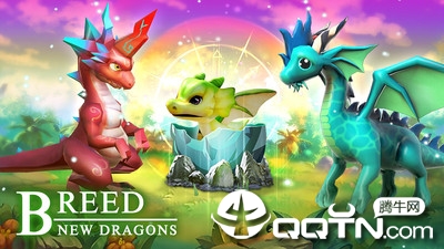 ���������ں������